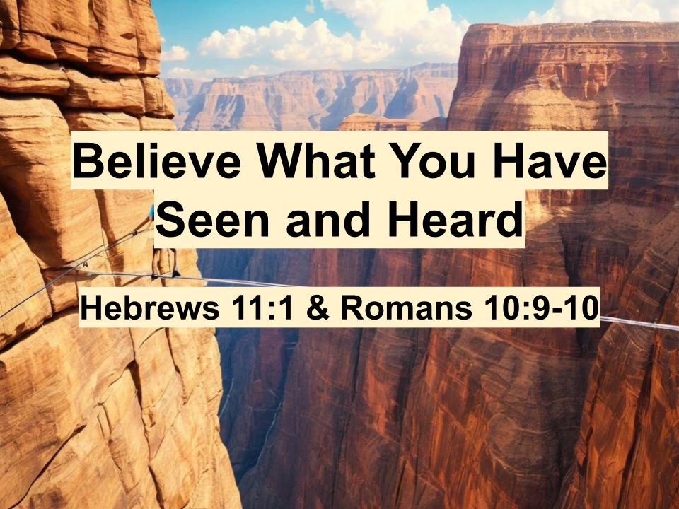 Believe What You Have Seen and Heard