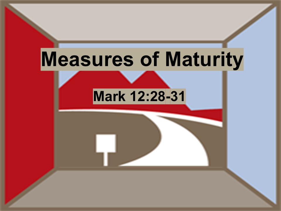 Measures of Maturity